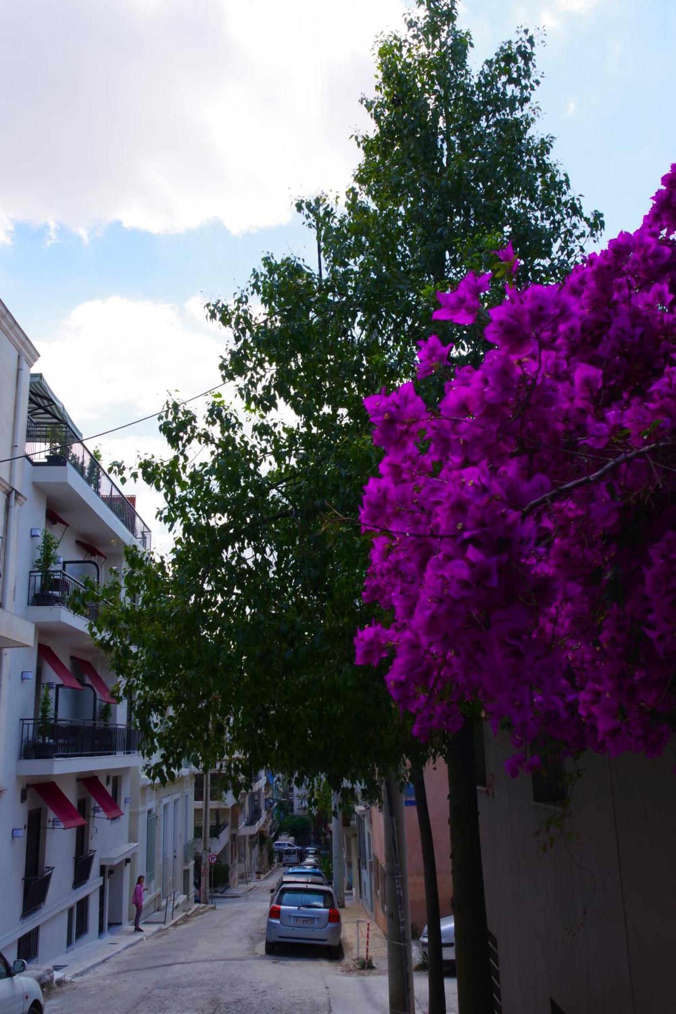 Absolute Athens Acropolis View Aparthotel Exterior photo